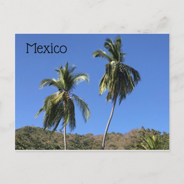 Mexico Post Card (Front)