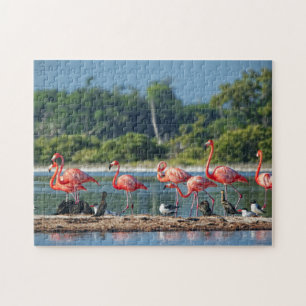 Mexico Rio Lagartos Jigsaw Puzzle