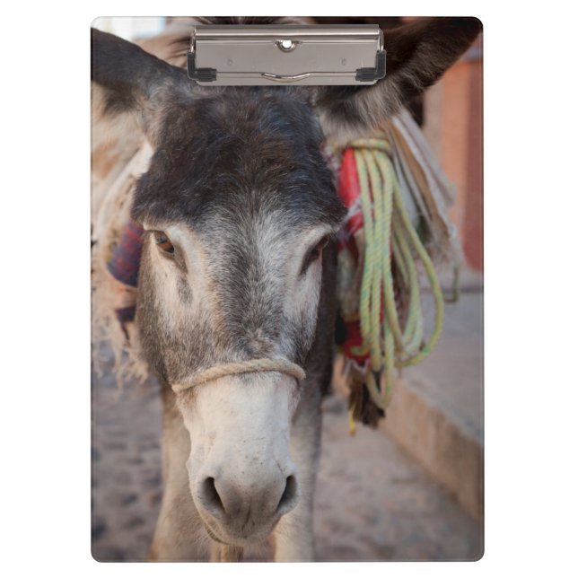 Mexico, San Miguel De Allende 2 Clipboard (Front)