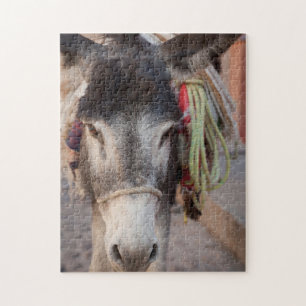 Mexico, San Miguel De Allende 2 Jigsaw Puzzle