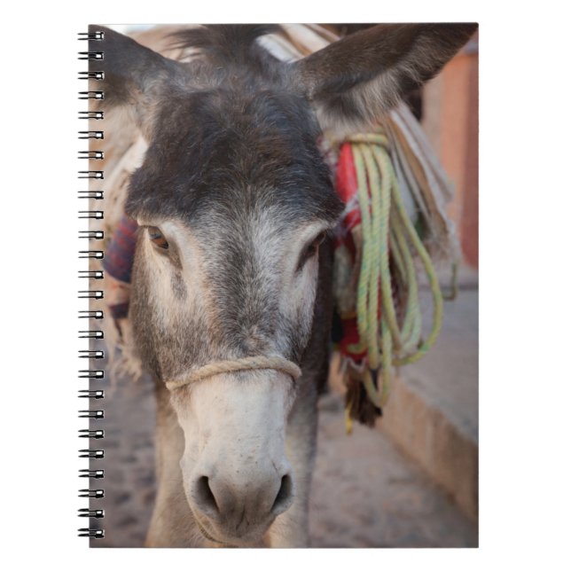 Mexico, San Miguel De Allende 2 Spiral Notebook (Front)