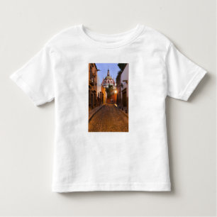 Mexico, San Miguel de Allende. Early morning Toddler T-Shirt