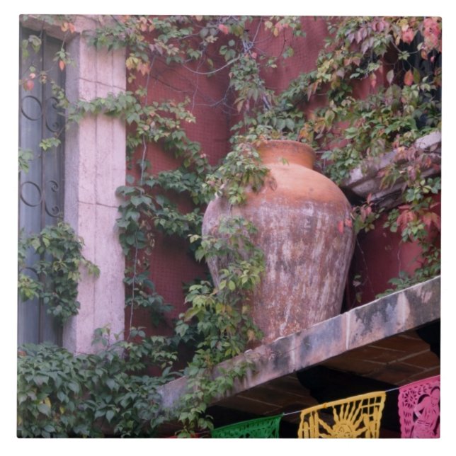 Mexico, San Miguel de Allende, Ivy, clay pot, Tile (Front)