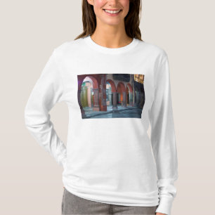 Mexico, San Miguel de Allende, The Jardin, T-Shirt