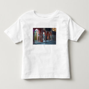 Mexico, San Miguel de Allende, The Jardin, Toddler T-Shirt