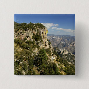 Mexico, State of Chihuahua, Copper Canyon. THIS 15 Cm Square Badge
