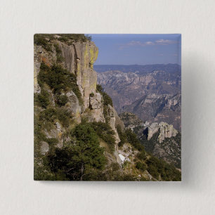 Mexico, State of Chihuahua, Copper Canyon. THIS 2 15 Cm Square Badge