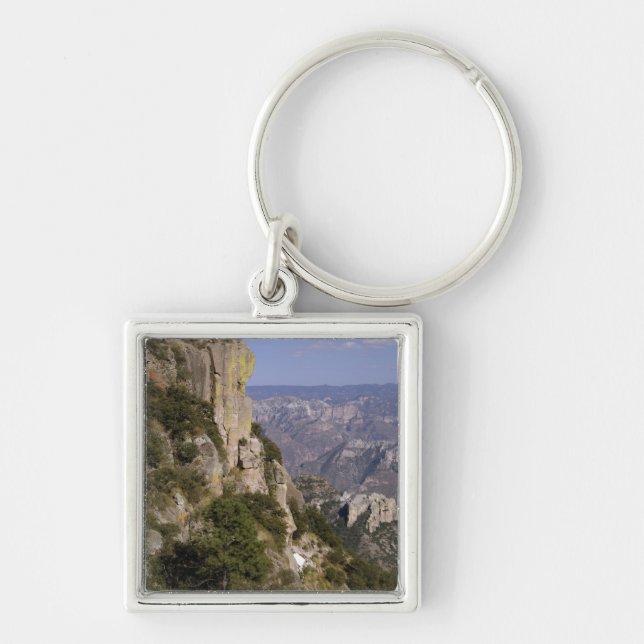 Mexico, State of Chihuahua, Copper Canyon. THIS 2 Key Ring (Front)