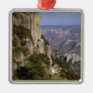 Mexico, State of Chihuahua, Copper Canyon. THIS 2 Metal Tree Decoration
