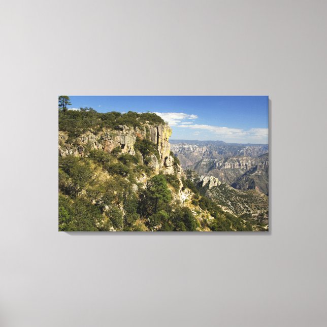 Mexico, State of Chihuahua, Copper Canyon. THIS Canvas Print (Front)