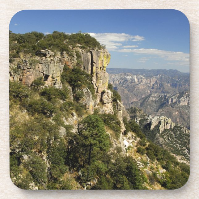 Mexico, State of Chihuahua, Copper Canyon. THIS Coaster (Front)