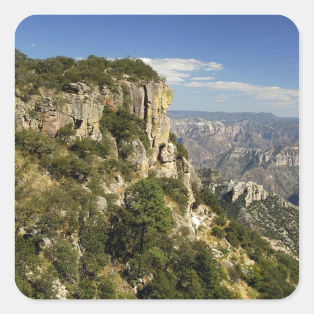 Mexico, State of Chihuahua, Copper Canyon. THIS Square Sticker (Front)