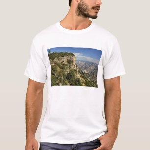 Mexico, State of Chihuahua, Copper Canyon. THIS T-Shirt