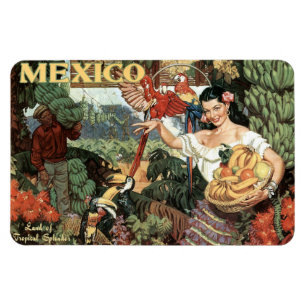 Mexico vintage travel magnet