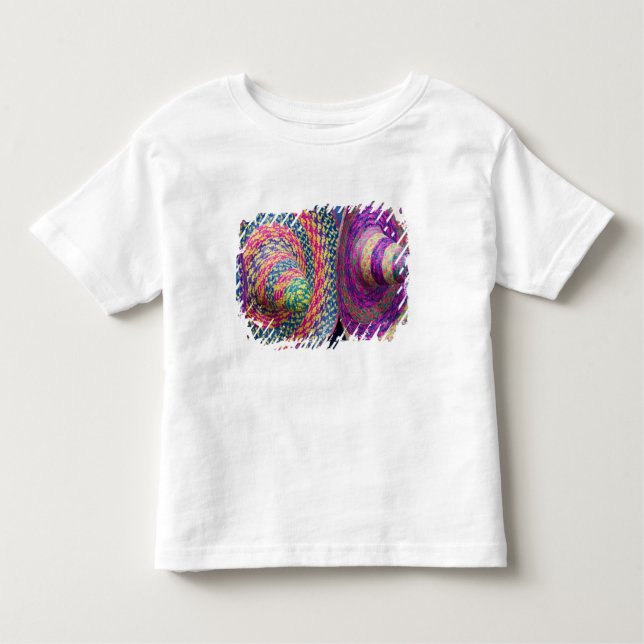 Mexico, Yucatan, Merida, traditional woven Toddler T-Shirt (Front)