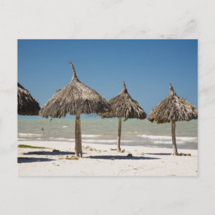 Mexico, Yucatan Peninsula, Progreso. Thatch Postcard