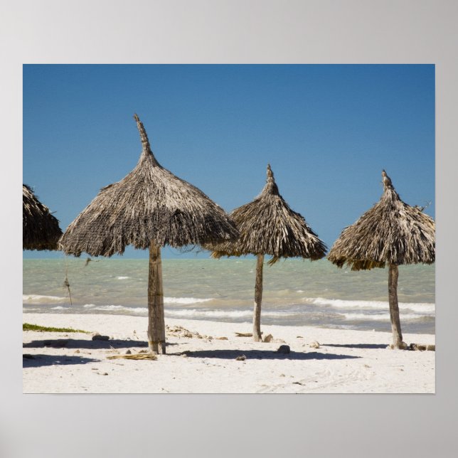Mexico, Yucatan Peninsula, Progreso. Thatch Poster (Front)
