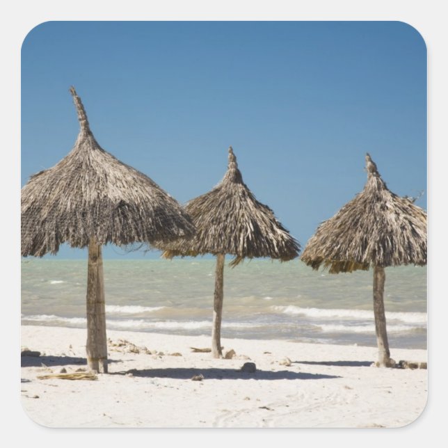 Mexico, Yucatan Peninsula, Progreso. Thatch Square Sticker (Front)