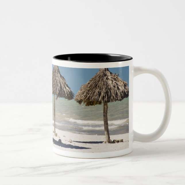 Mexico, Yucatan Peninsula, Progreso. Thatch Two-Tone Coffee Mug (Right)