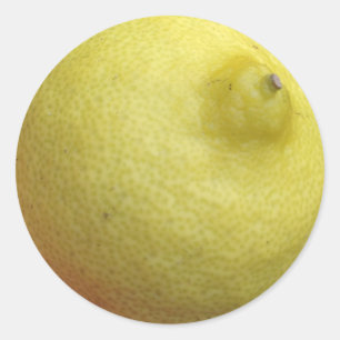 Meyer Lemon Classic Round Sticker