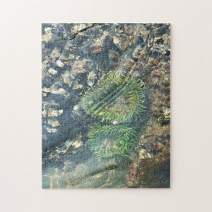 Meyers Beach North, Gold Beach, Oregon Jigsaw Puzzle