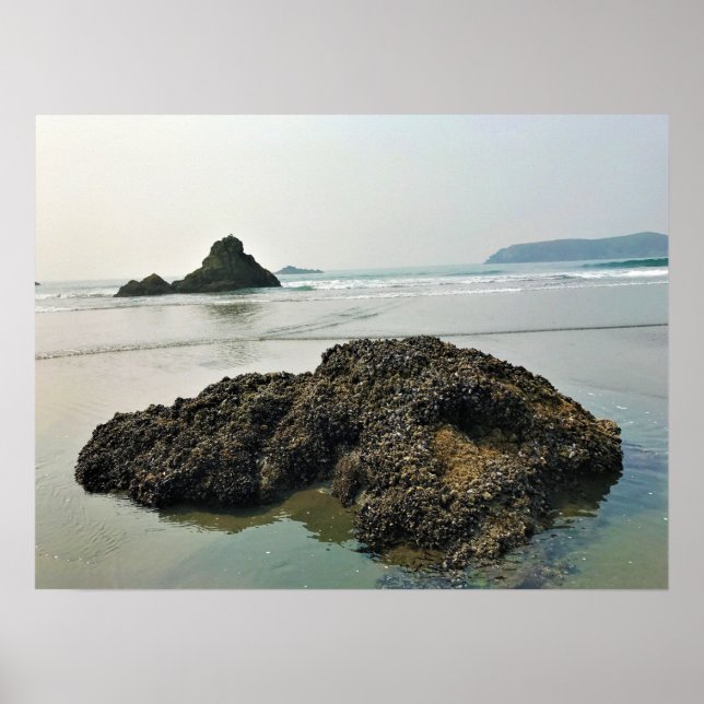 Meyers Beach North, Gold Beach, Oregon Poster (Front)