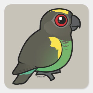 Meyer's Parrot Square Sticker