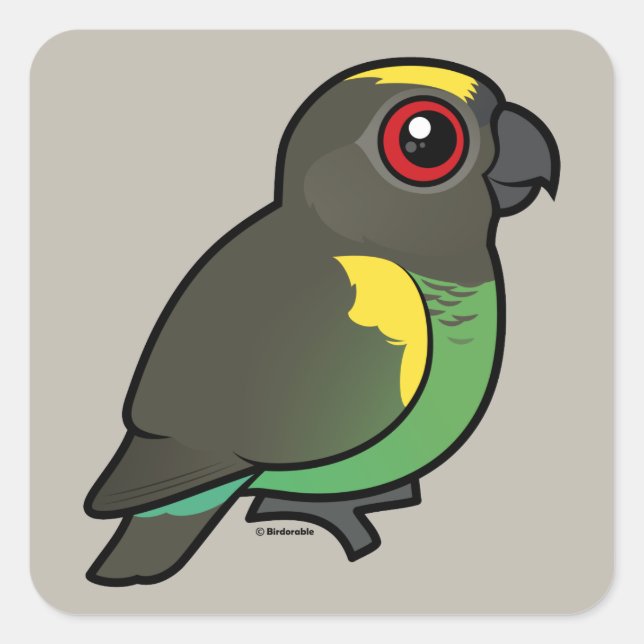 Meyer's Parrot Square Sticker (Front)