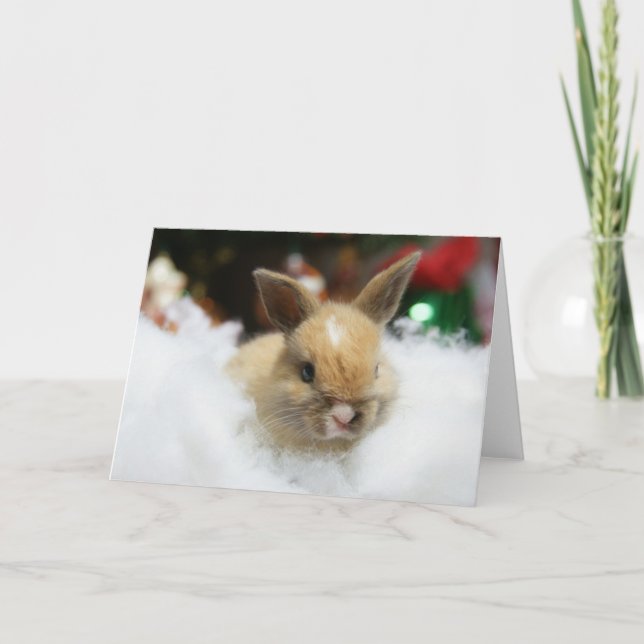 MHRR Honeybadger baby bunny rabbit Christmas card (Front)