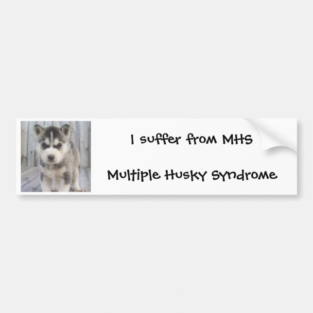 MHS - Multiple Husky Syndrome Bumper Sticker (Front)