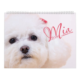 Mia - a Bichon Frise 2014 Calendar