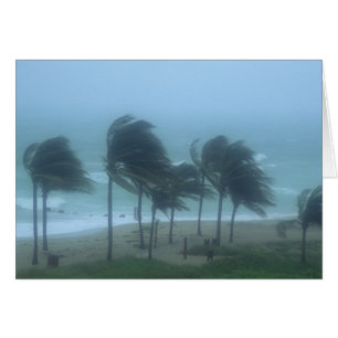 Miami Beach, Florida, hurricane winds lashing