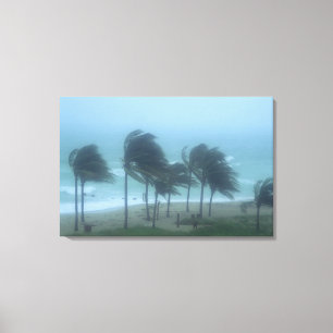 Miami Beach, Florida, hurricane winds lashing Canvas Print