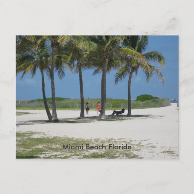 Miami Beach Florida Postcard (Front)