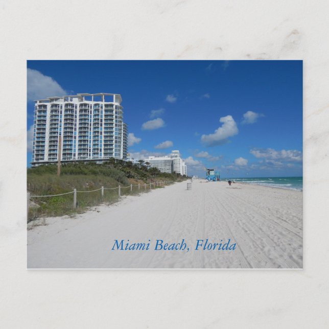 Miami Beach Florida Postcard (Front)