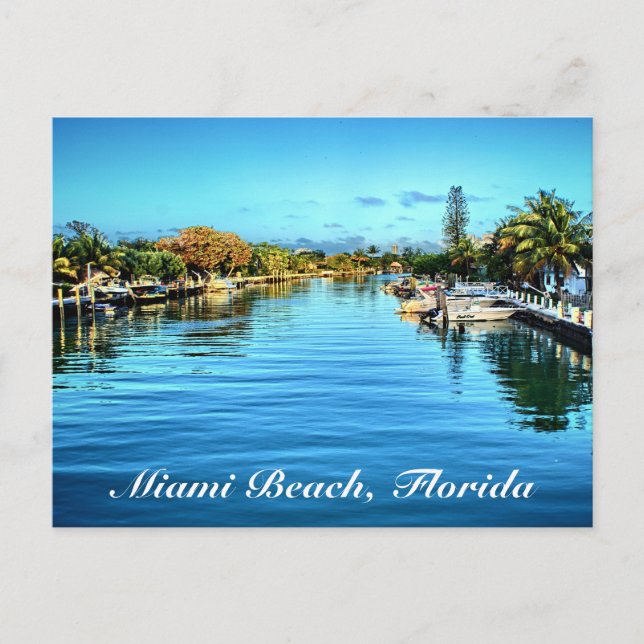 Miami Beach Florida Postcard (Front)