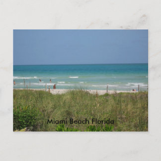 Miami Beach Florida Postcard