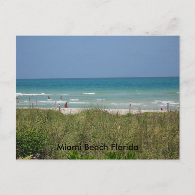 Miami Beach Florida Postcard (Front)