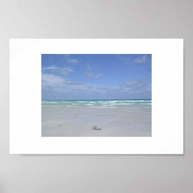 Miami Beach Poster (Front)