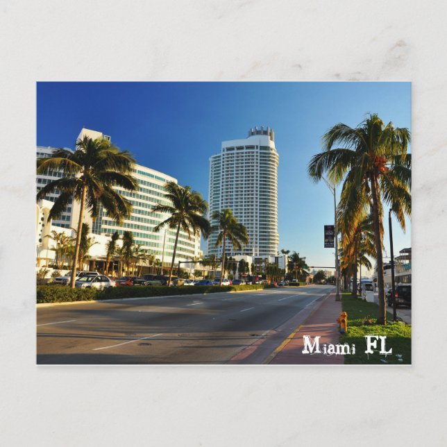 Miami FL Postcard (Front)