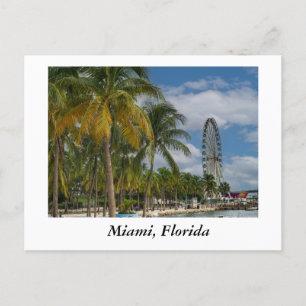 Miami Florida and Biscayne Bay Postcard