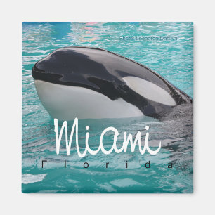 Miami Florida Orca Whale Photo Fridge Magnet