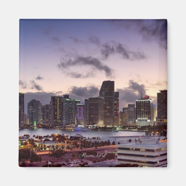 Miami, Florida Skyline, Magnet (Front)