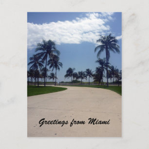 miami palm path postcard