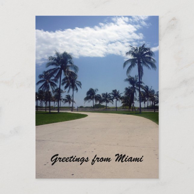 miami palm path postcard (Front)