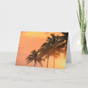 Miami Palms Card