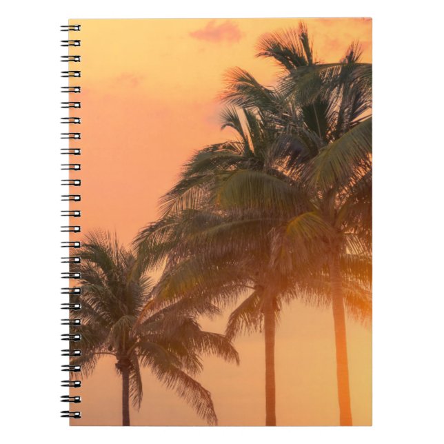 Miami Palms Notebook (Front)
