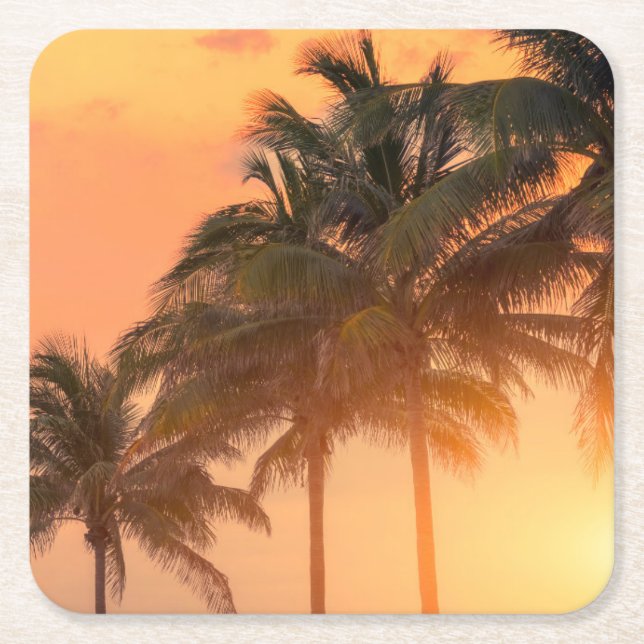 Miami Palms Square Paper Coaster (Front)