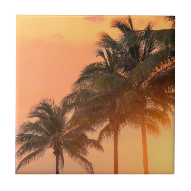 Miami Palms Tile (Front)