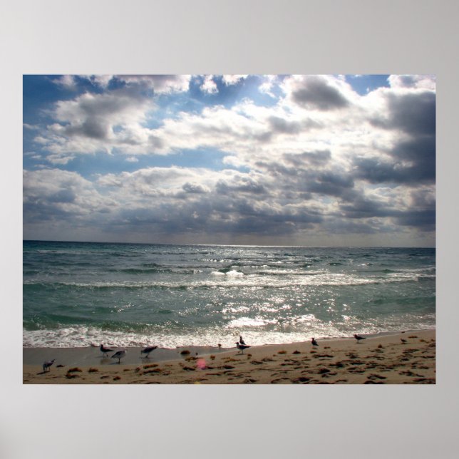 Miami Poster (Front)